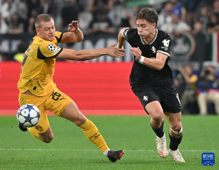 国际米兰：意甲霸主，欧洲冠军杯传奇，球星荣耀时刻